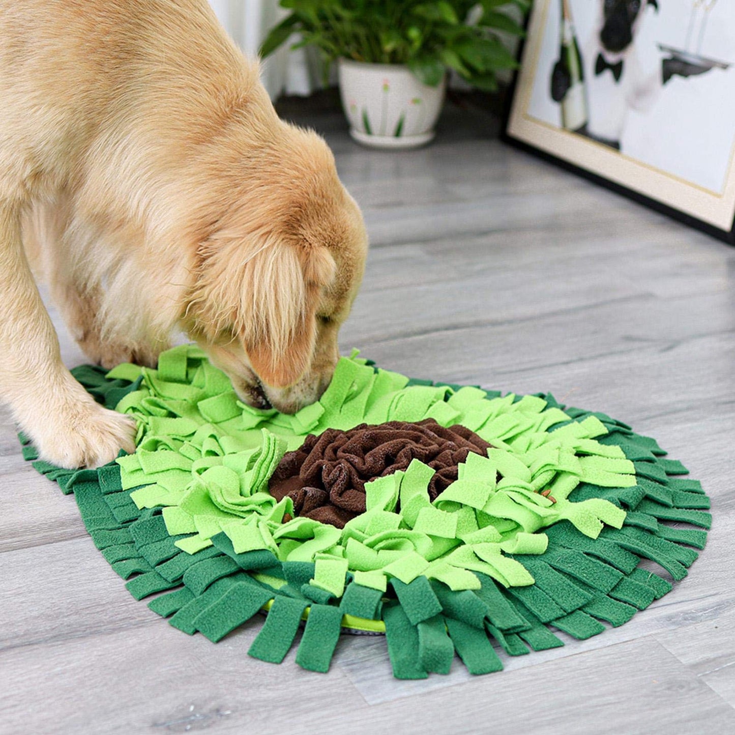 The Calm Kit — Lick Mat + Snuffle Mat for Dog Anxiety, Bath Time & Separation Anxiety